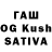 Alfa_PVP СК КРИС Kishanlal Saini