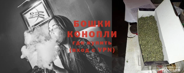 шишки Алексин
