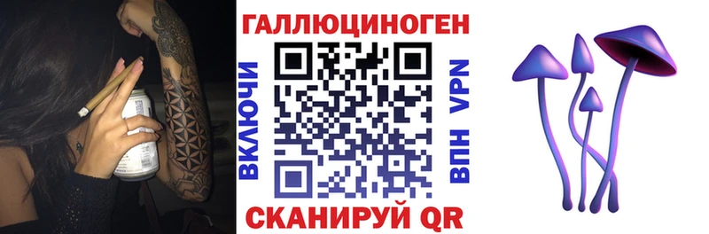 KRAKEN ТОР  где купить наркотик  Приморск  Псилоцибиновые грибы мицелий 